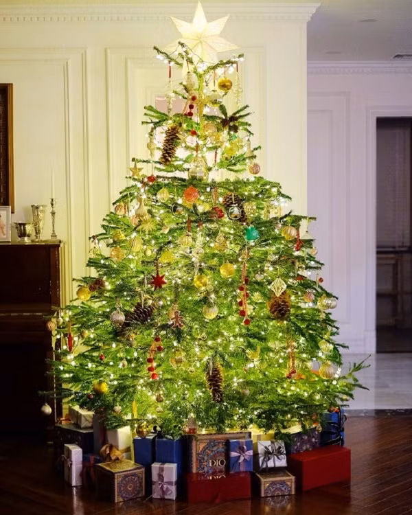 Nha giau chi tram trieu mua thong tuoi di may bay ve Viet Nam