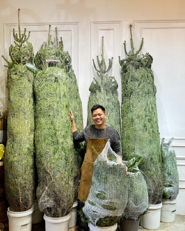 Nhà giàu chi trăm triệu mua thông tươi đi máy bay về Việt Nam - Hình 2 Nha giau chi tram trieu mua thong tuoi di may bay ve Viet Nam-Hinh-2