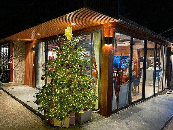 Nhà giàu chi trăm triệu mua thông tươi đi máy bay về Việt Nam - Hình 7 Nha giau chi tram trieu mua thong tuoi di may bay ve Viet Nam-Hinh-7