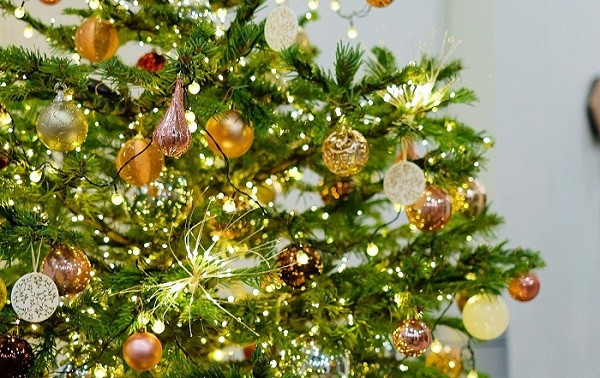 Nhà giàu chi trăm triệu mua thông tươi đi máy bay về Việt Nam - Hình 6 Nha giau chi tram trieu mua thong tuoi di may bay ve Viet Nam-Hinh-6