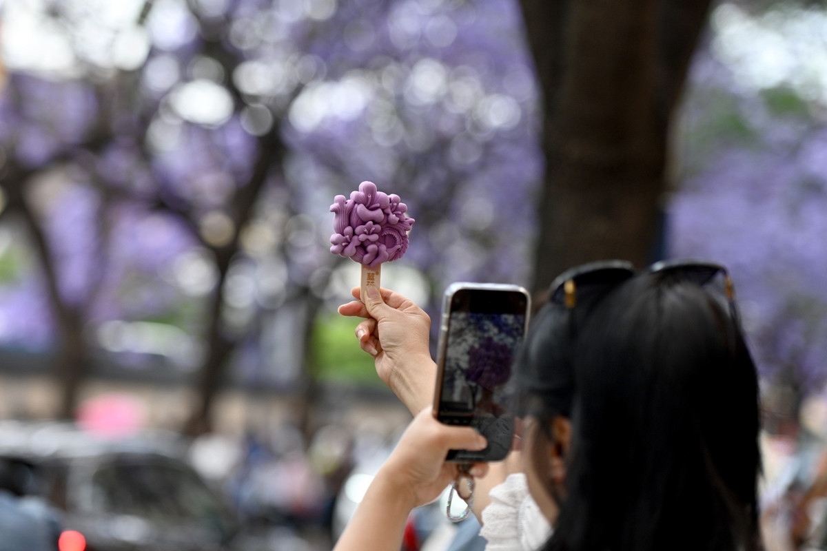 Khi tham quan, bạn cũng có thể mua kem que hình hoa jacaranda ở gần đó để vừa ngắm hoa vừa thưởng thức đồ ăn.