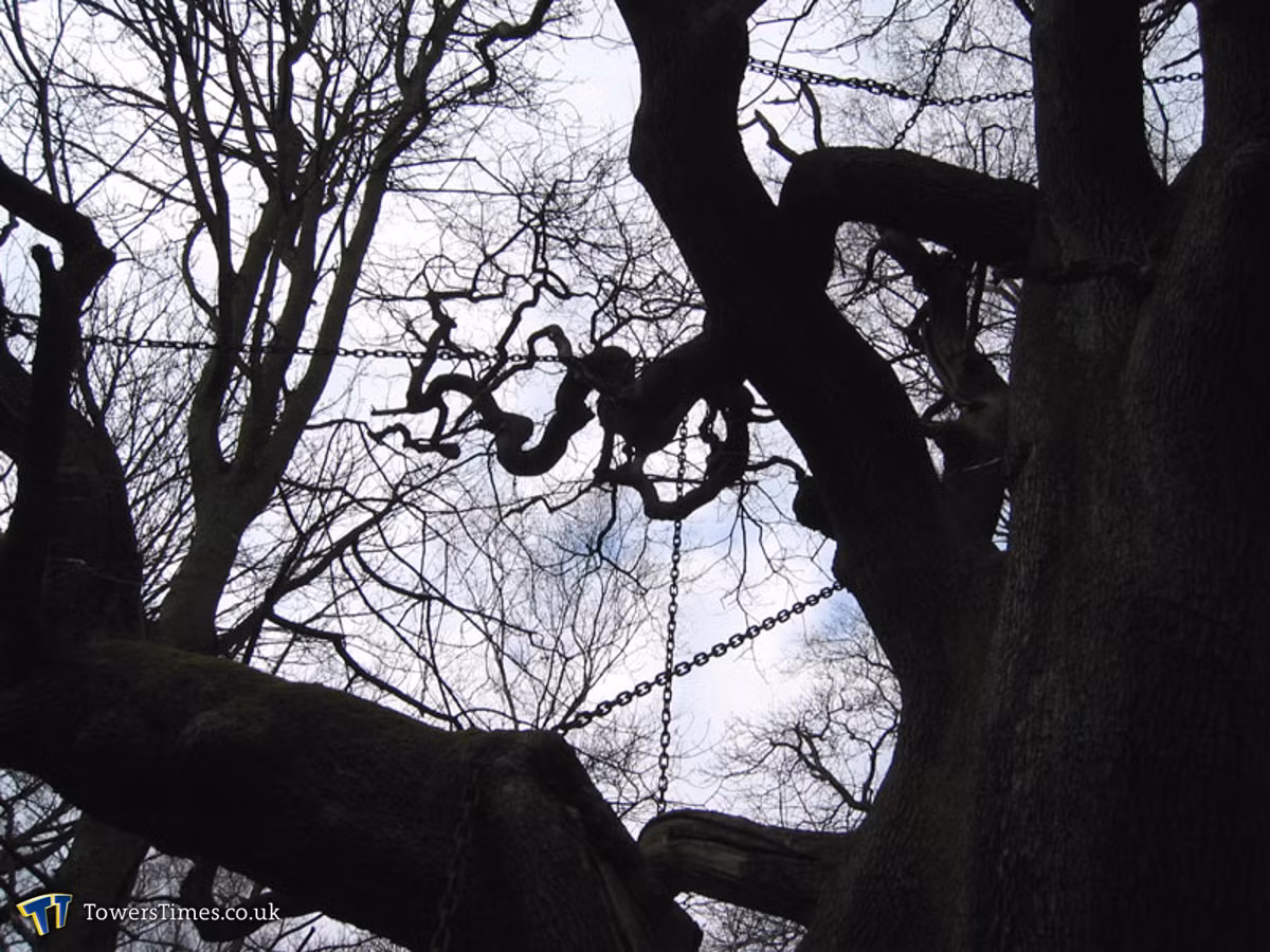 Bi an cay co thu mang “loi nguyen chet nguoi” bi xieng xich-Hinh-9