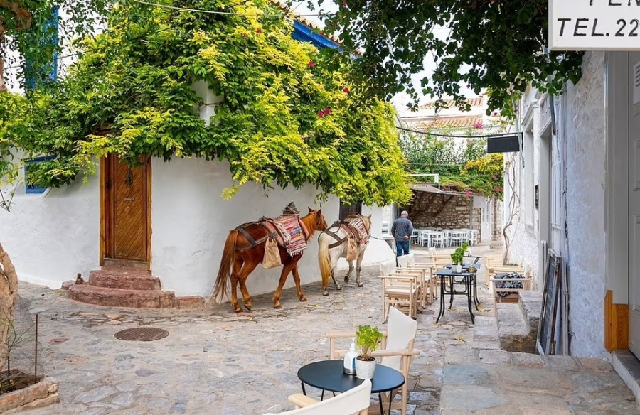 Ở đây chỉ có những chú lừa hoặc ngựa làm nhiệm vụ vận chuyển chính, phổ biến hơn là lừa. Ngay tại bến cảng, du khách đã có thể gặp hàng đoàn lừa đứng xếp hàng chờ khách thuê. Ảnh: MTL.