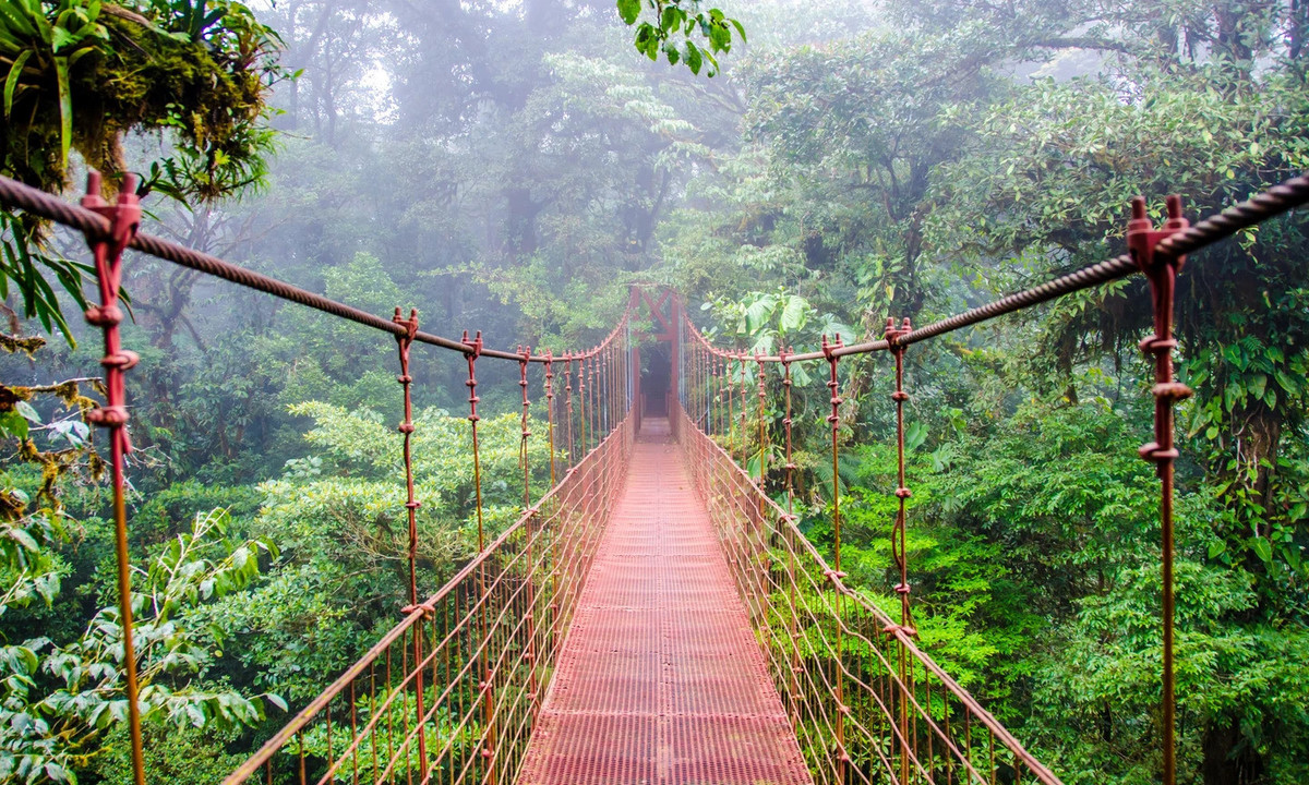 Khu bảo tồn rừng mây Monteverde, Costa Rica: Được đặt tên theo thị trấn Monteverde gần đó, khu bảo tồn rừng này rộng hơn 100km2, nằm ở một độ cao ấn tượng và được bao quanh bởi những đám mây mờ ảo. Ảnh: Shutterstock.