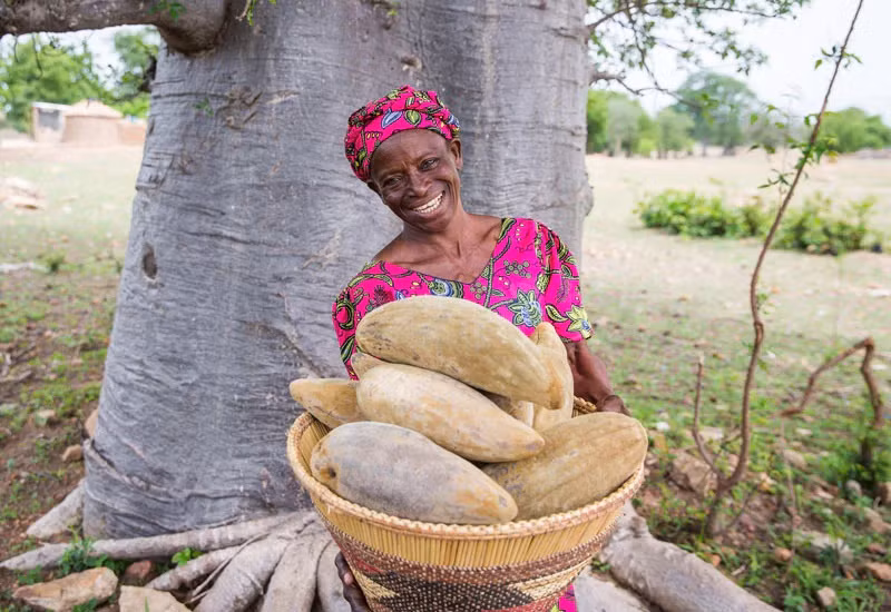Can canh con duong noi tieng voi hang cay bao bap khong lo-Hinh-9