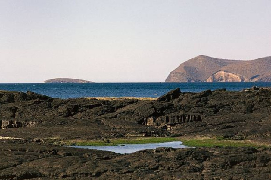 Trên quần đảo Galápagos, Chính phủ Ecuador đã xây dựng một nhà tù, hoạt động từ năm 1946 đến năm 1959.