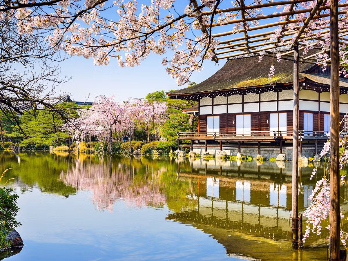 Đền Heian, tỉnh Kyoto, được xây dựng từ thời Minh Trị. Khu vườn bao quanh ngôi đền được chăm sóc rất cẩn thận, vào mùa xuân anh đào nở rộ rũ bóng xuống nước nhìn rất đẹp. Ảnh: IT.