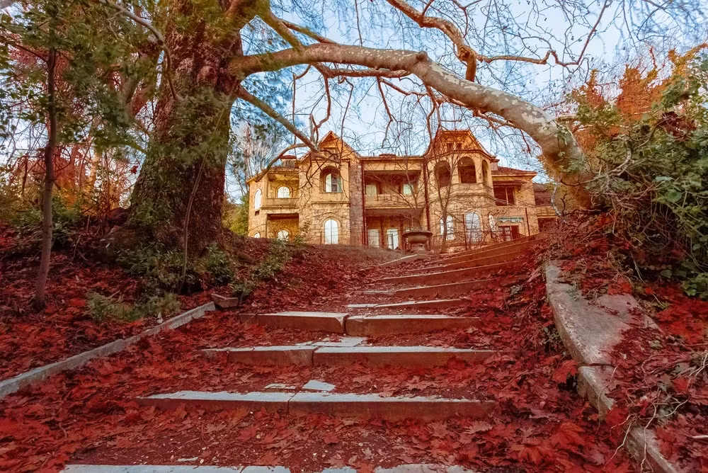 Cung điện Tatoi (Hy Lạp) là biệt thự bỏ hoang nằm giữa rừng, dần nhường chỗ cho thiên nhiên. Du khách có thể đến đây bằng cách đi xe đạp, ô tô hoặc đi bộ. Hành trình đến ngôi nhà bỏ hoang này sẽ khiến du khách thích thú bởi sự lộng lẫy của những hàng cây ở hai bên đường. Ảnh: Shutterstock.