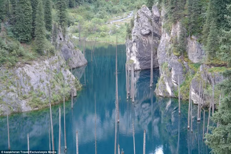 Rất nhiều người tưởng rằng gốc của những cây vân sam chổng lên trời còn ngọn của chúng chìm sâu xuống lòng hồ.