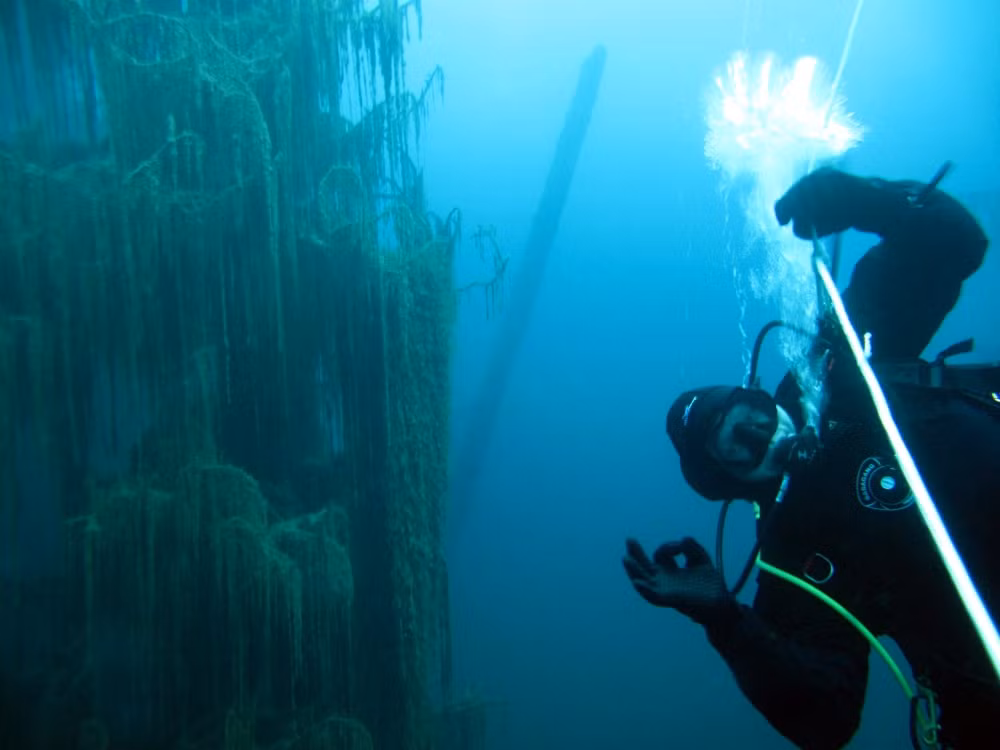 Xung quanh khu vực này còn là môi trường sống lý tưởng của nhiều loài động thực vật và chim quý hiếm.