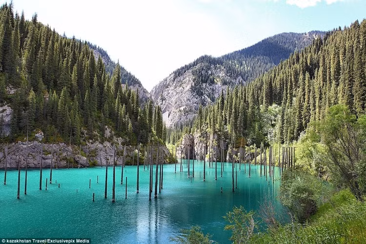 Hồ Kaindy là hồ nước trên núi Idyllic, thuộc một phần của dãy Tian Shan ở Kazakhstan. Nhìn những cái cây trơ trọi, cằn cỗi nổi trên mặt hồ Kaindy, ít ai ngờ rằng phần chìm dưới nước lại là khu rừng kỳ lạ có cành lá xanh tốt. (Ảnh: DM, IT)