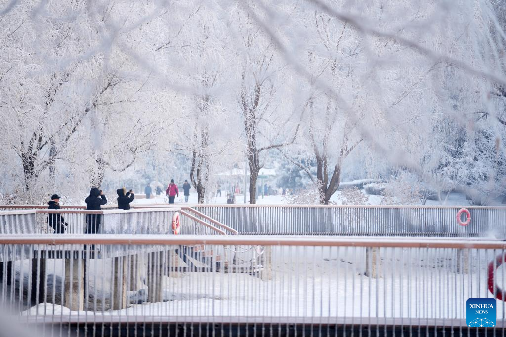 Bất chấp giá rét, người dân vẫn tranh thủ đi tham quan, thưởng ngoạn cảnh đẹp mùa đông.