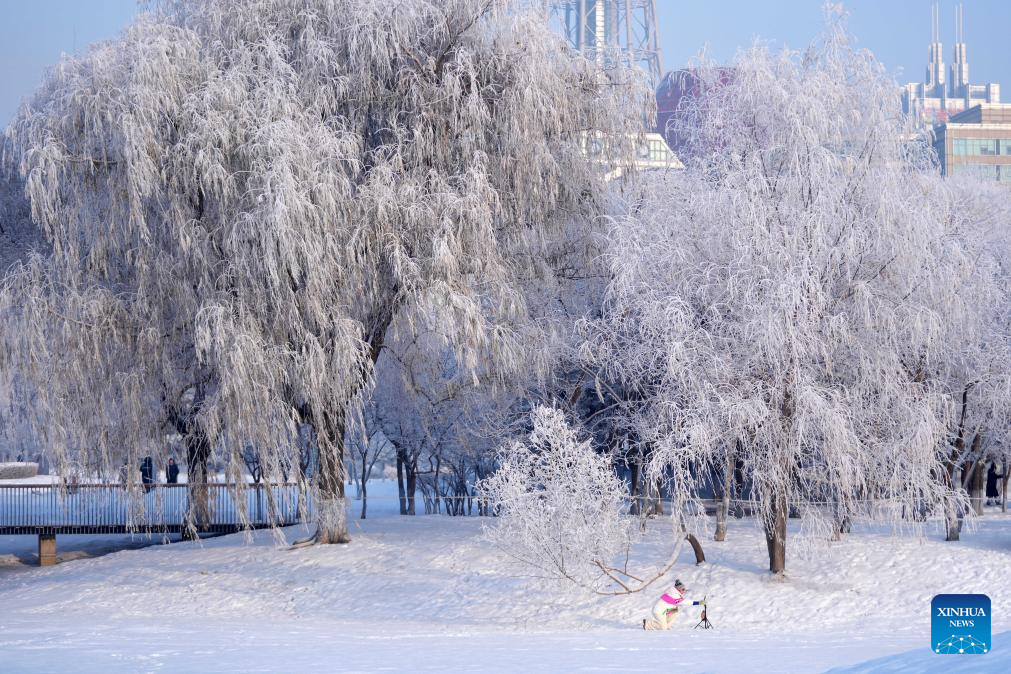 Những cây cối, nhà cửa, mái nhà đều khoác lên mình “tấm áo sương muối” trắng tinh, huyền ảo.