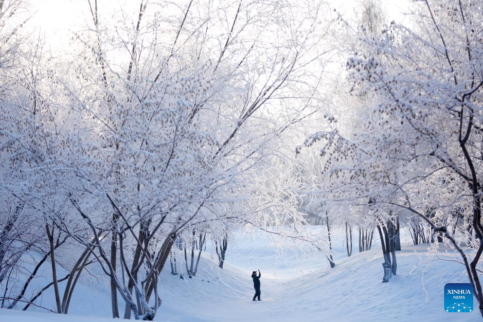 Rất đông du khách kéo tới công viên Tương Giang để ghi lại những khoảnh khắc sương muối phủ trắng cây cối.