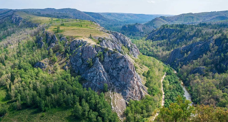 Khoảng 20% tổng số cây trên toàn thế giới nằm ở nước Nga.