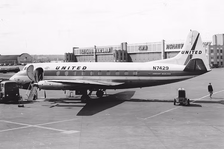 Máy bay rơi vì đụng trúng thiên nga huýt sáo: Ngày 23/11/1962, chiếc máy bay Vickers 745D Viscount của hãng United Airlines, cất cánh từ Newark để đi Washington D.C (Mỹ), đã xảy ra va chạm với một đàn thiên nga huýt sáo. Chiếc máy bay bị mất kiểm soát và rơi xuống mặt đất từ độ cao hơn 1.800m. Toàn bộ 17 người trên máy bay đều thiệt mạng.