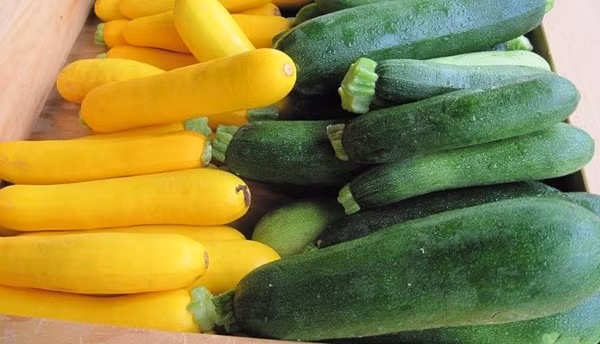 Bi ngoi mang lai loi ich gi cho suc khoe?