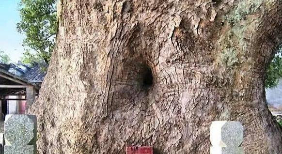 Sau đó, họ đã thêu dệt lên câu chuyện về Chu Hi để thêm phần kỳ bí và trang nghiêm vì dù gì vùng đất này cũng có liên quan đến vị thánh nhân thời nhà Tống này.