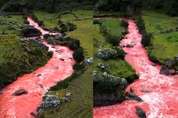 Choang vang dong song ky la nuoc do nhu mau o Peru