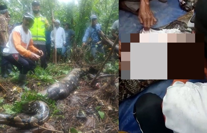 Kinh hai loat vu tran nuot chung nguoi o Indonesia-Hinh-2