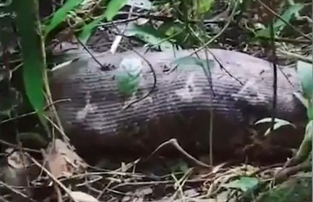 Kinh hai loat vu tran nuot chung nguoi o Indonesia