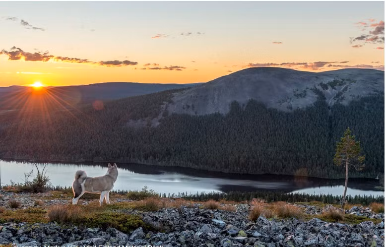 Kinh ngac nhung vung dat dac biet nhat, noi mat troi khong lan-Hinh-3