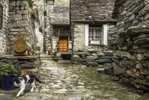 Ý tưởng của dự án xuất phát từ mô hình tương tự tại Italy, nơi nhiều ngôi làng không người ở cũng được chuyển đổi thành khách sạn phục vụ du lịch.