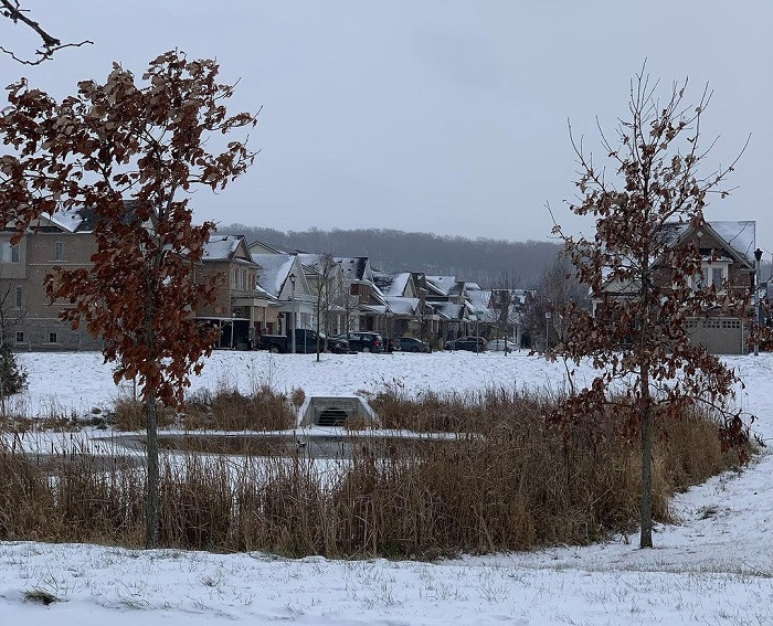 3. St. Davids (Anh): Thành phố này chỉ có khoảng 1800 cư dân sinh sống. Tuy nhiên, St. Davids có đầy đủ các dịch vụ và tiện ích để phục vụ khách du lịch.