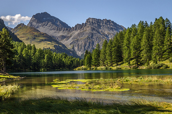“Bergün sẽ đẹp hơn rất nhiều nếu mọi người trực tiếp đến tham quan chứ không phải nhìn ngắm nó qua Internet”, Thị trưởng Peter Nicolay cho biết. Ảnh: Borghisvizzera.