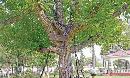 Trong đó, luật pháp cho phép chính phủ được phép trừng trị bộ tộc hoặc gia đình nếu có cá nhân nào đó phạm tội. Ảnh: Amusing.