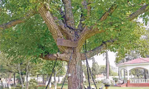 Trong đó, luật pháp cho phép chính phủ được phép trừng trị bộ tộc hoặc gia đình nếu có cá nhân nào đó phạm tội. Ảnh: Amusing.