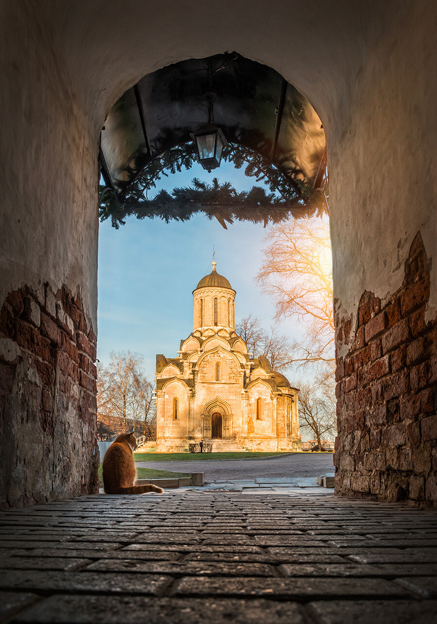Một con mèo đang ngồi ở cửa ra vào và nhìn vào ngôi đền trong Tu viện Andronikov ở Moscow.