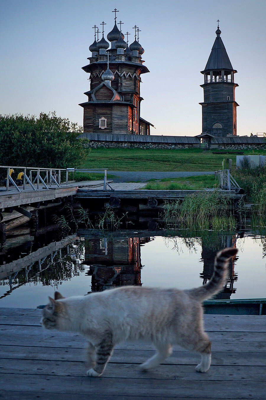 Con mèo dễ thương tại Khu bảo tồn lịch sử và kiến trúc Kizhi. Ảnh: Ruslan Shamukov/TASS.