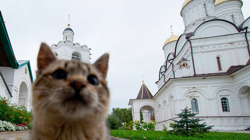 Tu viện Trinity Boldin ở vùng Smolensk. Ảnh: Ilya Pitalev/Sputnik.