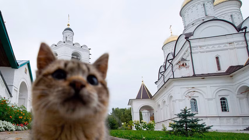 Tu viện Trinity Boldin ở vùng Smolensk. Ảnh: Ilya Pitalev/Sputnik.