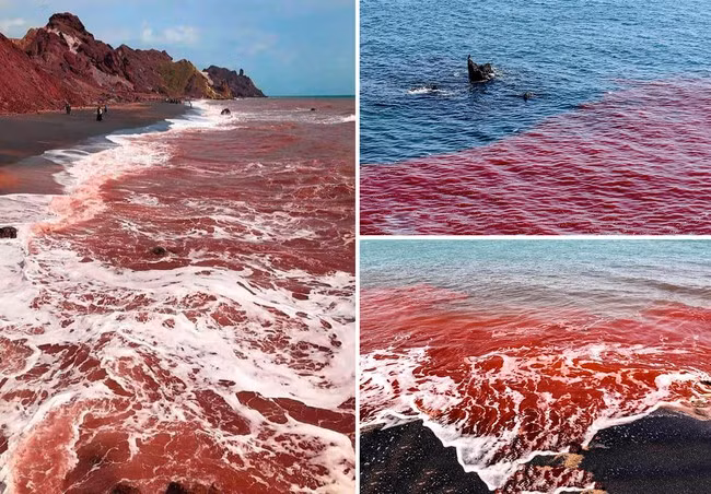 Vùng biển đỏ Hormuz (Iran): Bờ biển tại đảo Hormuz nổi tiếng với bờ cát trải dài đều là màu đỏ và đen, còn nước biển thì đỏ lừ như máu. Bãi biển có màu đỏ là do chất Gelack chảy ra từ một ngọn núi giàu đất oxit đỏ gần bờ biển. Ảnh: Mybestplace.