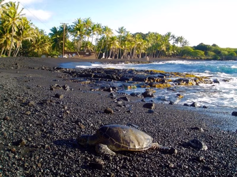 Bãi biển đen Punalu’u (Hawaii, Mỹ): Được mệnh danh là bãi biển cát đen, Punalu'u là điểm đến không thể bỏ qua trên đảo Big ở Hawaii. Màu sắc của cát có nguồn gốc từ đá bazan và dung nham núi lửa. Ảnh: Flickr.