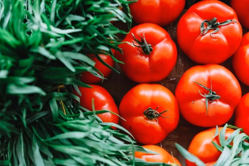 Thuc pham nen them vao che do an uong de giam nguy co dot quy