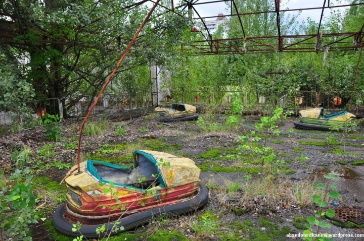 Công viên này được cho là mở cửa trong vài giờ để giúp người dân giải trí trước khi có thông báo sơ tán khỏi thành phố.