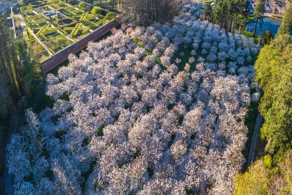 Vườn Poison được lấy cảm hứng từ vườn bách thảo Orto Botanico di Padova ở Padua, Italy.
