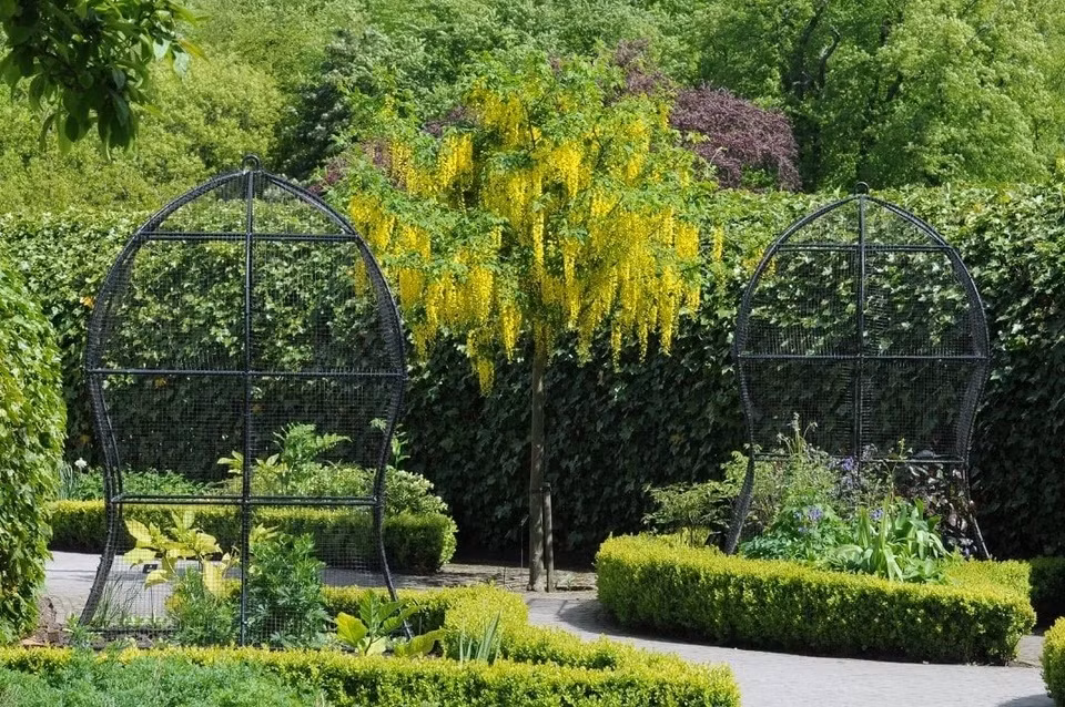 Dot nhap khu vuon chet choc nguy hiem nhat the gioi