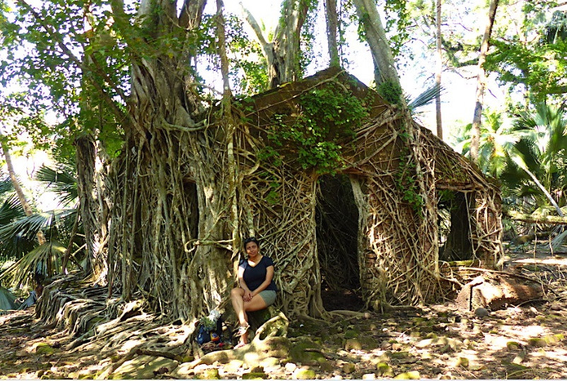 Vào đầu những năm 1900, các sĩ quan Anh đã đưa nhiều loài hươu khác nhau đến quần đảo Andaman để săn bắn và phục vụ các trò chơi.