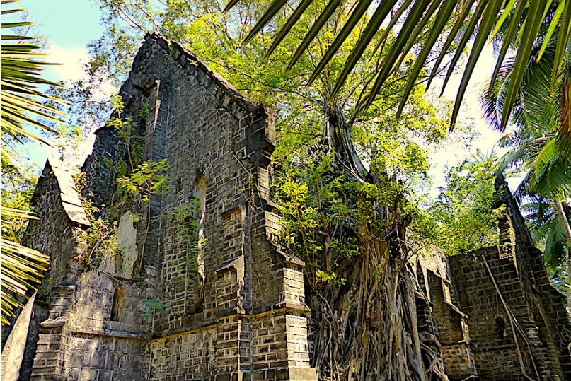 Giờ đây, các ngôi nhà trên đảo dường như đã bị "mẹ thiên nhiên" hoàn toàn xâm chiếm.