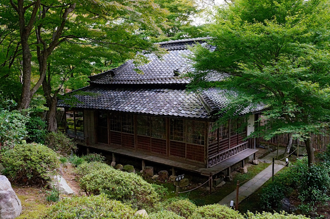 Những mùa còn lại trong năm, ngôi đền 1500 tuổi mang một vẻ đẹp riêng. Đầu tháng 5 tới tháng 9, du khách sẽ được ngắm khung cảnh xanh rì, mát rượi của rừng cây bao quanh.