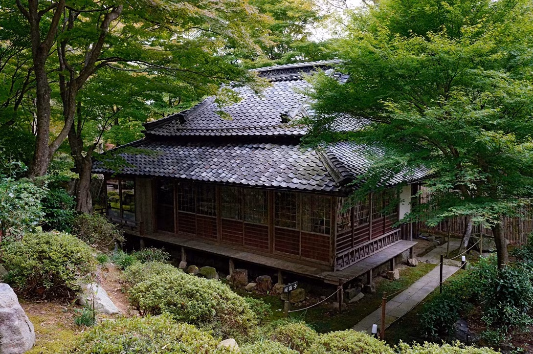 Chiem nguong ngoi den 1500 nam tuoi nep minh giua rung cay tuyet dep-Hinh-4