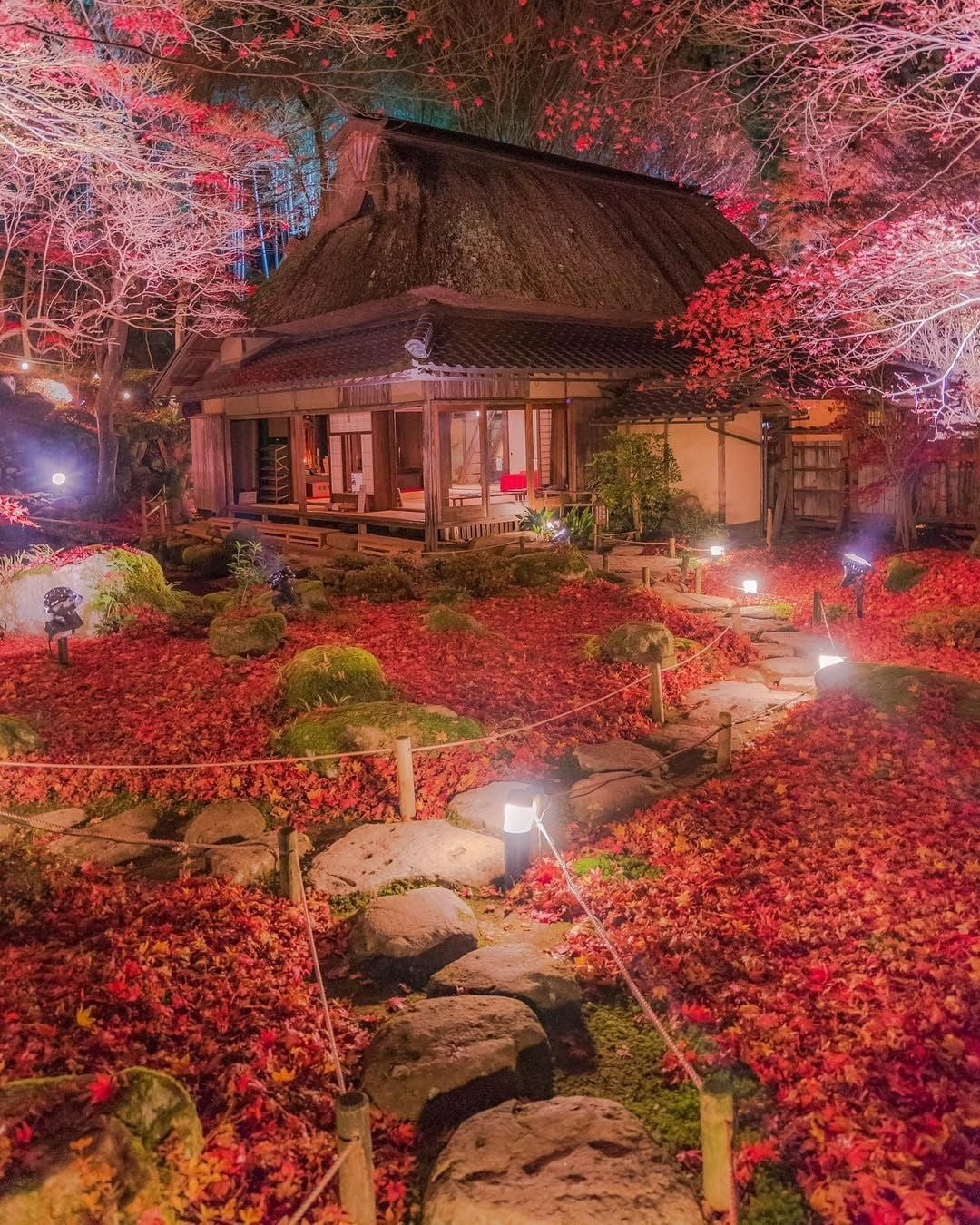 Lối đi vào đền buổi tối được thắp đèn lung linh huyền ảo.