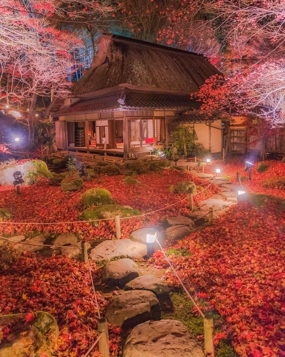 Chiem nguong ngoi den 1500 nam tuoi nep minh giua rung cay tuyet dep-Hinh-10