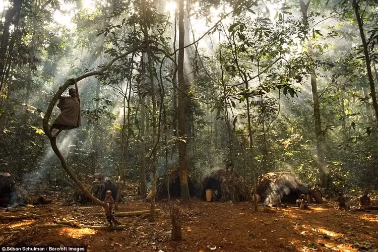 Không chỉ thiếu thức ăn, người Baka còn đối mặt với bệnh tật. Viêm gan B và sốt rét là 2 loại bệnh phổ biến nhất. Hầu hết trẻ em đều dương tính với sốt rét.