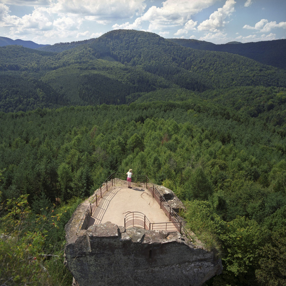 Có cả một khu rừng rộng lớn và kỳ bí tại vùng biên giới Pháp - Đức. Ảnh: IT.