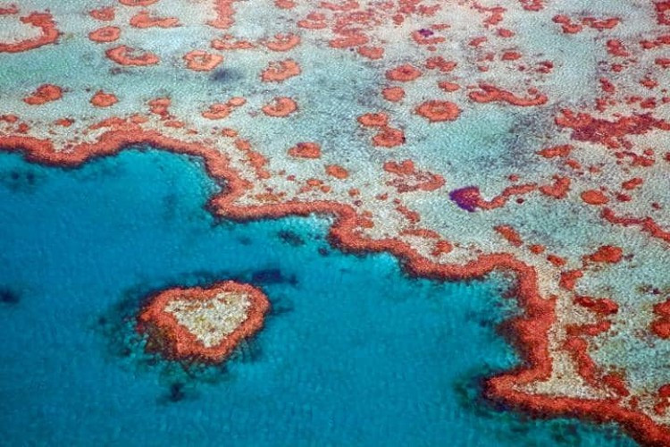 Rạn san hô hình trái tim độc đáo Heart Reef là điểm đến hấp dẫn cho các du khách khi tới Australia. Heart Reef có đường kính 16,7 m và là một trong những bí ẩn tuyệt vời nhất của tự nhiên. San hô tự hình thành hình trái tim theo thời gian và được một phi công phát hiện vào năm 1975.
